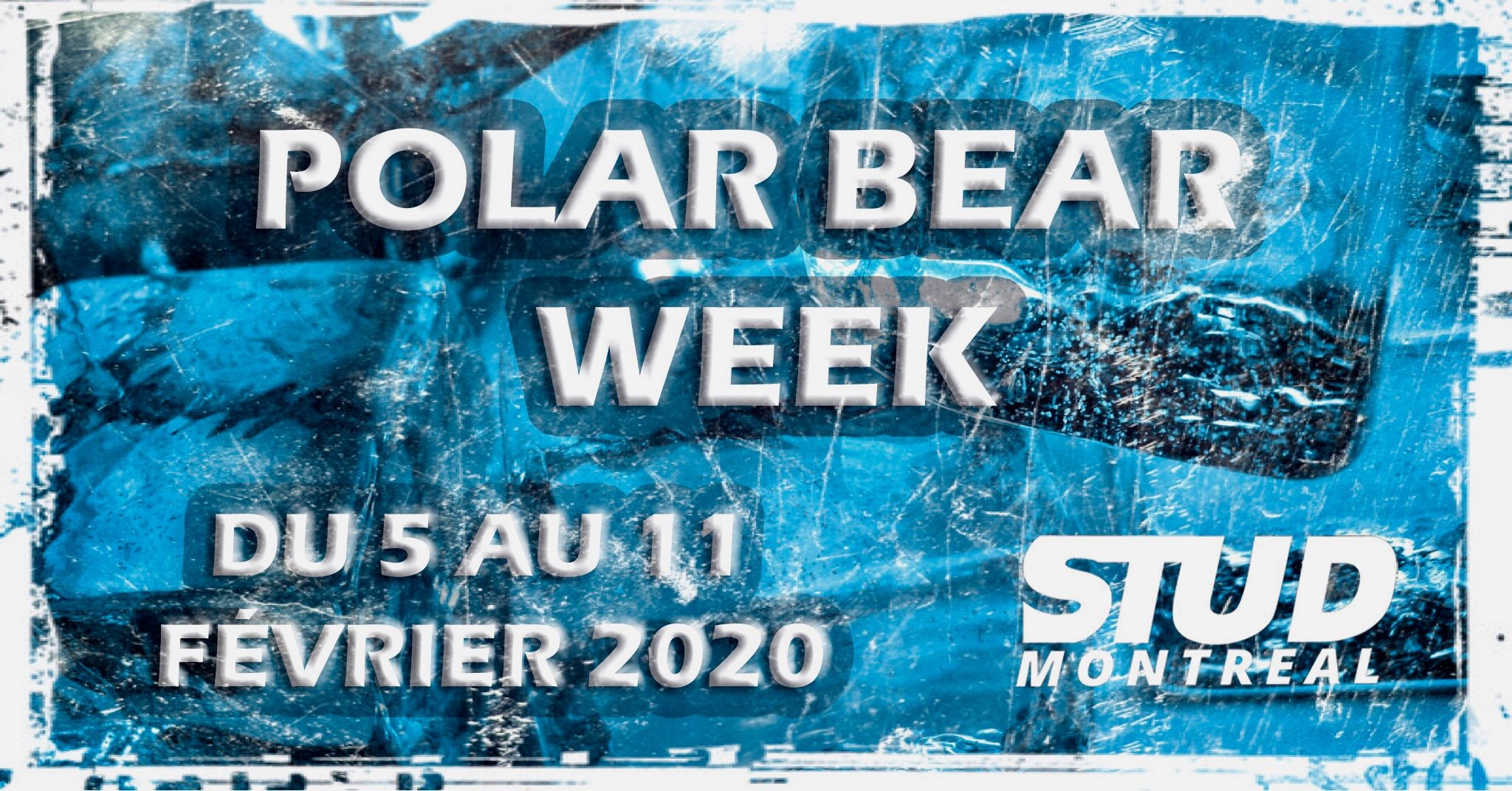 Montréal Polar Bear Week